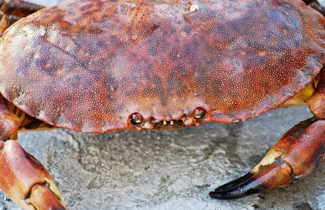 10 Person Holiday Home in Brattvag - Foto 30