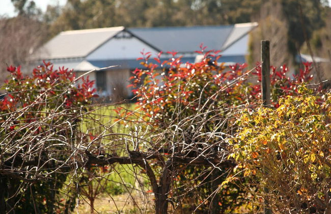 The Farmhouse at Blue Wren Wines - Foto 20