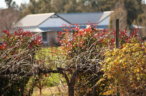 Foto 20 - The Farmhouse at Blue Wren Wines