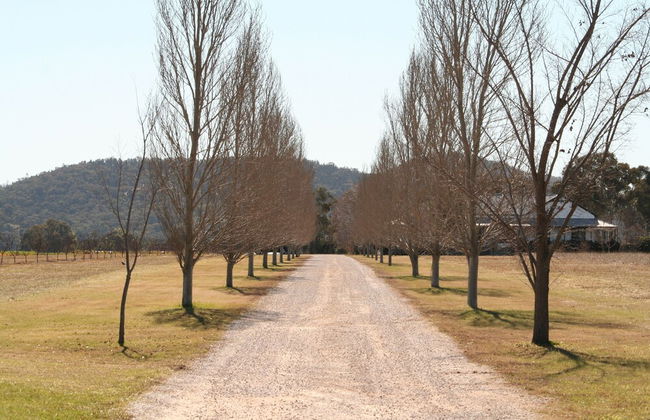 The Farmhouse at Blue Wren Wines - Foto 21