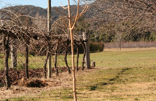 The Farmhouse at Blue Wren Wines - Foto 22
