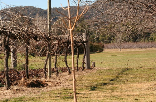 Photo 22 - The Farmhouse at Blue Wren Wines