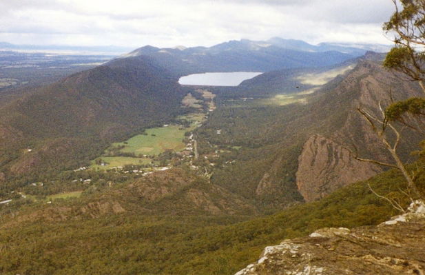 Bushland - Foto 24