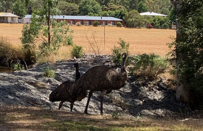 Bushland - Foto 16