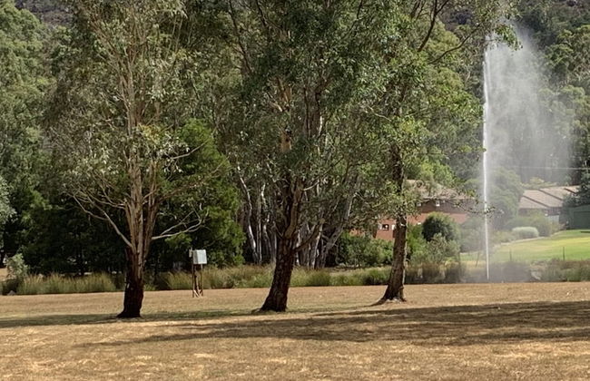 Bushland - Foto 7