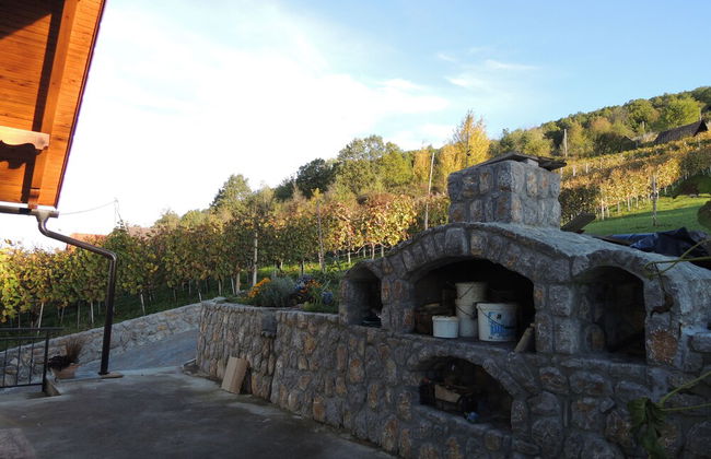 Vineyard cottage Pod piramido - Foto 22