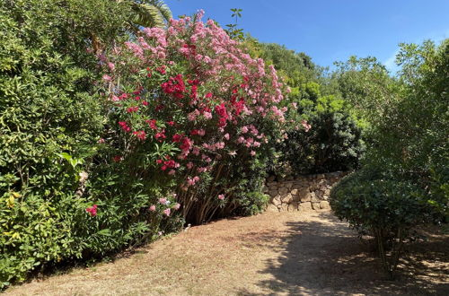 Foto 28 - Domus Olivarum - Costa Smeralda 7 Guest + 2 Pk Wifi A/C big Garden