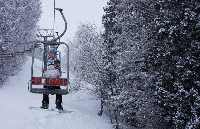 Tanuki Luxury Apartments - Photo 54