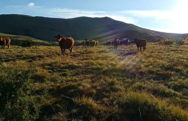 Luiperdkloof Trout Lodge - Photo 9