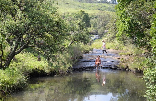 Luiperdkloof Trout Lodge - Photo 15
