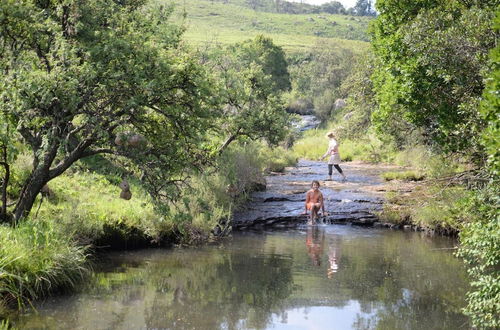 Photo 14 - Luiperdkloof Trout Lodge