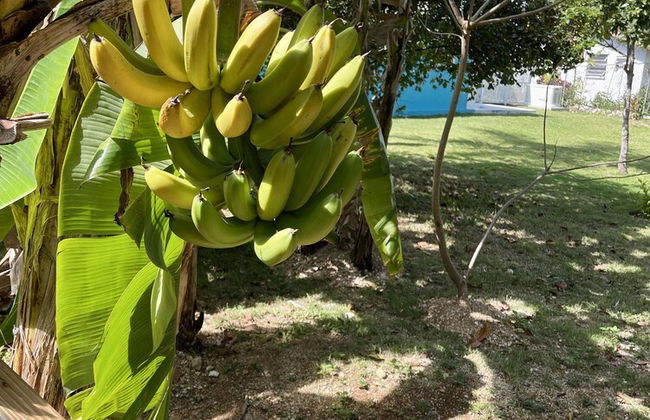 Dawsons Hideaway - Photo 78