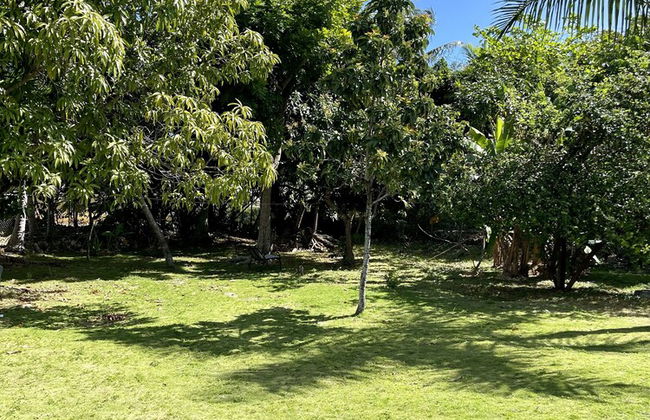 Dawsons Hideaway - Photo 76