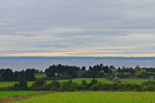 Photo 42 - Cabañas Anulen Puerto Varas