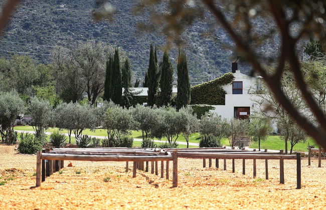 Berluda Farmhouse & Cottages - Foto 75