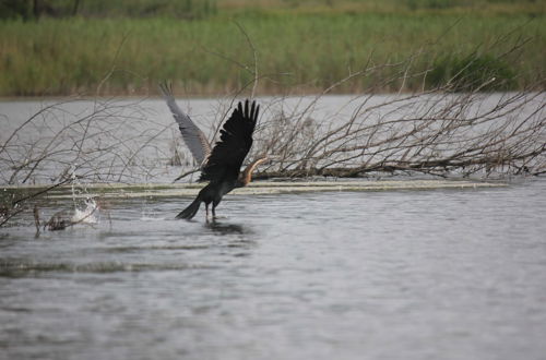 Photo 40 - Beacon Vlei Guest Farm