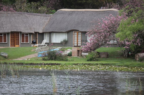 Photo 33 - Beacon Vlei Guest Farm