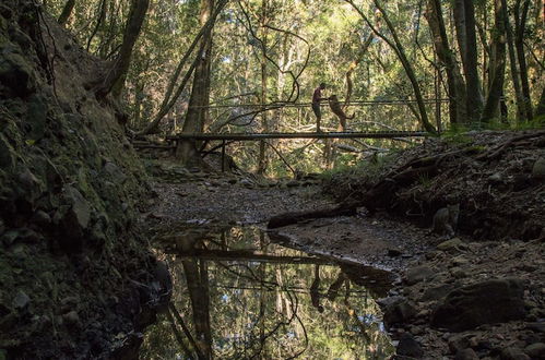 Photo 23 - Woodlands Self Catering, Knysna