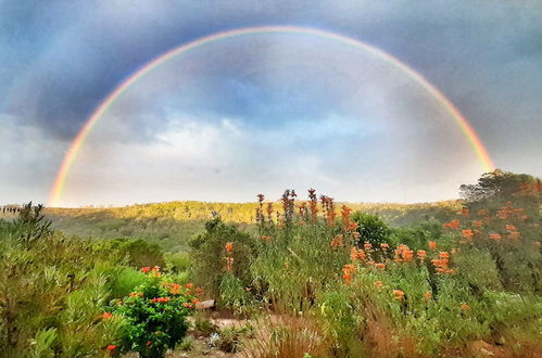 Photo 34 - Woodlands Self Catering, Knysna