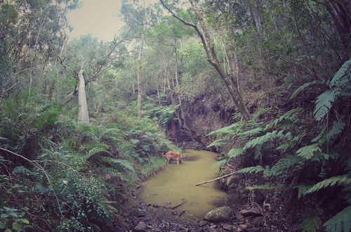 Photo 36 - Woodlands Self Catering, Knysna