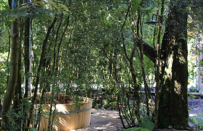 DreamWoods - Foto 26