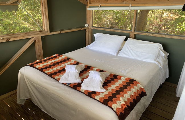 Virgin Islands Campground - Photo 51