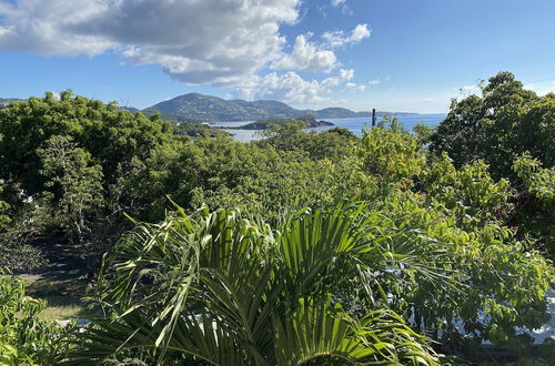 Photo 72 - Virgin Islands Campground