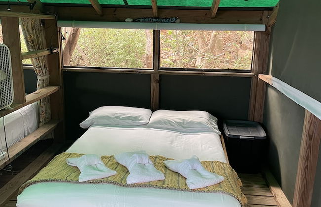 Virgin Islands Campground - Photo 5