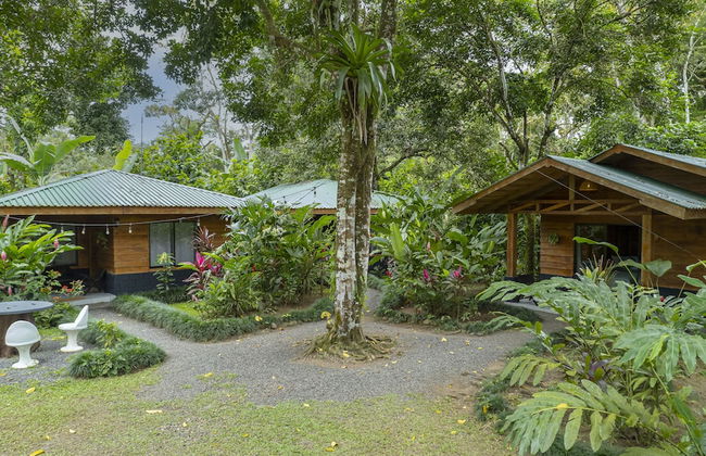 Eden Organic Farm & Bungalows - Foto 2