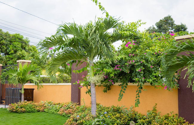 Centrally Located Guest Apartments - Photo 24