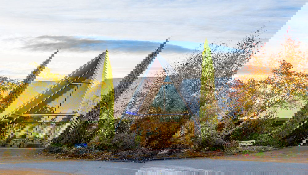 Primary image