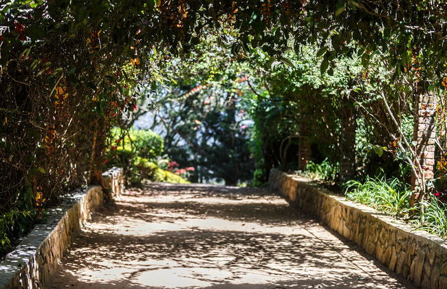 Dutch House Bandarawela - Foto 19