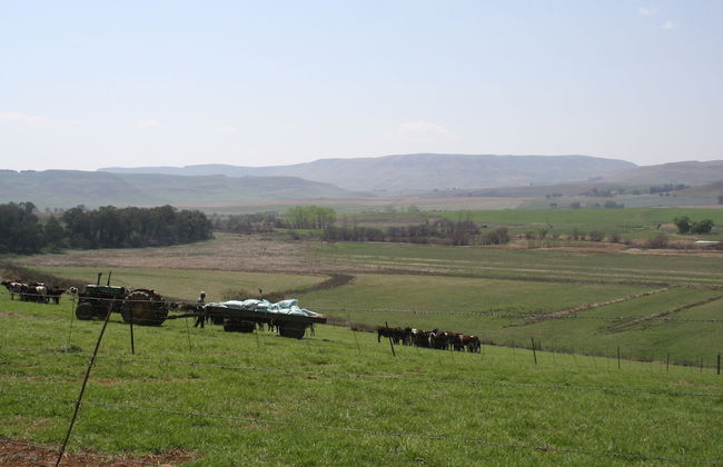 Rivermead - Foto 13