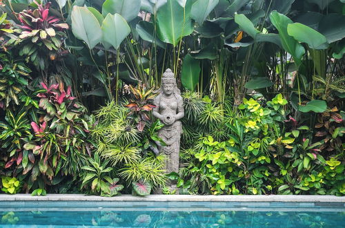 Photo 19 - Villa Tirtha Amertha Ubud