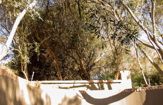 Botlierskop Bush Villas - Foto 43