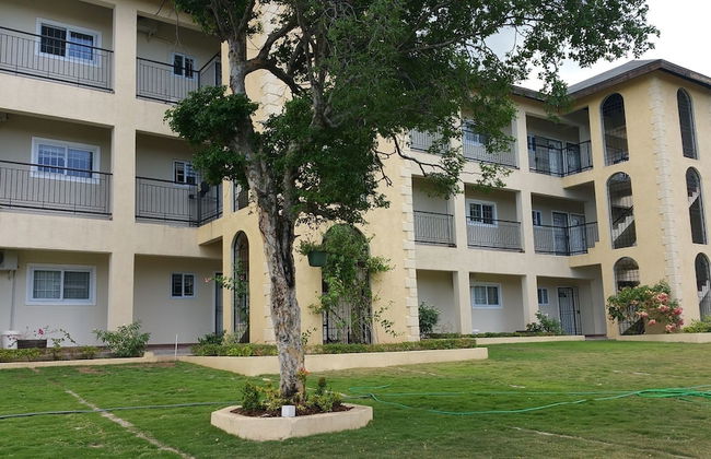 New Kingston Guest Apartment at Donhead - Photo 59