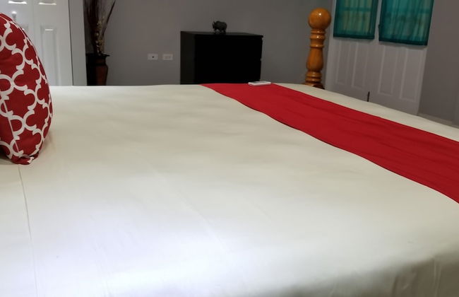 New Kingston Guest Apartment at Donhead - Photo 7