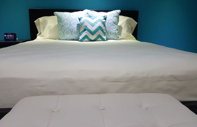New Kingston Guest Apartment at Donhead - Photo 9
