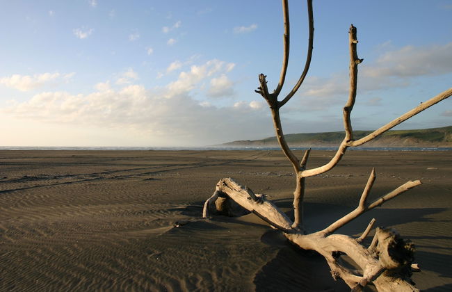 Port Waikato Holiday Park - Foto 49