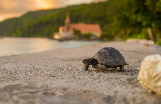 Le Nautique Luxury Beachfront Apartments - Foto 30