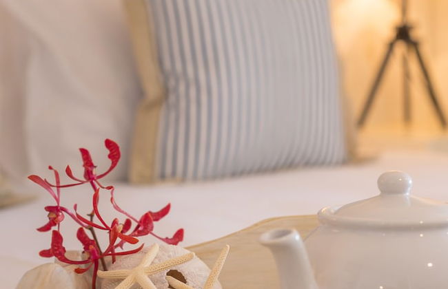 Le Nautique Luxury Beachfront Apartments - Foto 19