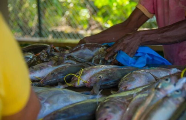 Le Nautique Luxury Beachfront Apartments - Foto 34