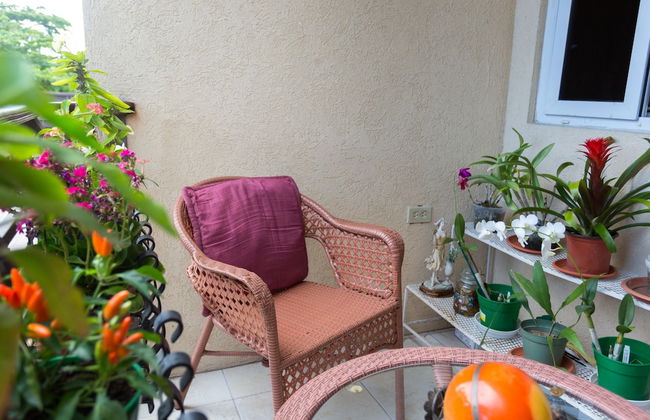New Kingston Guest Apartment at Inglaterra I - Foto 32