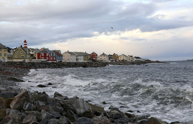 Alnes Gård - Foto 80