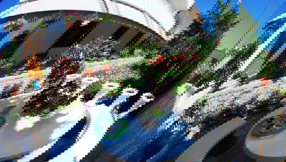 Imagem principal