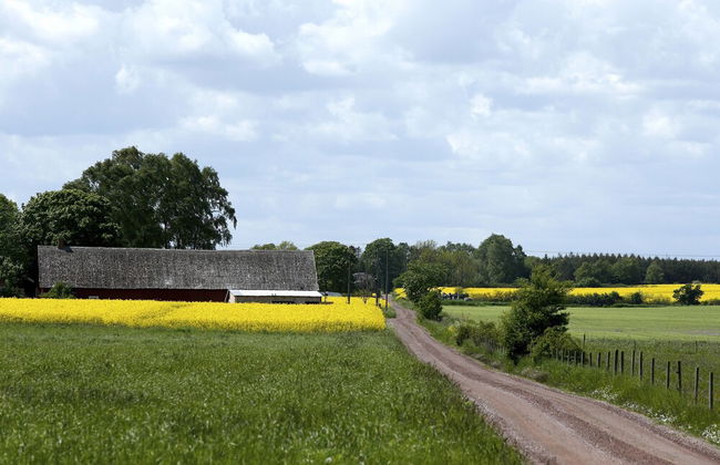 Mälarhusen Semesterby Österlen - Stugor & Gårdssviter - Foto 63