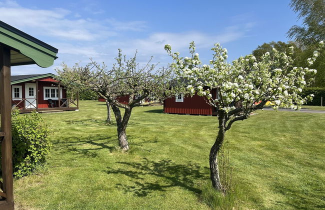 Mälarhusen Semesterby Österlen - Stugor & Gårdssviter - Foto 43
