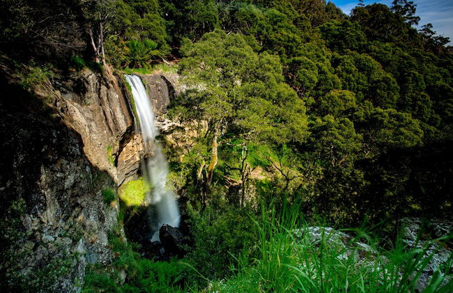 BIG4 Tassie Getaway Park Ulverstone - Foto 37