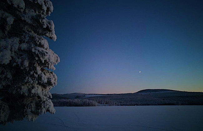 Vildmarks Lodge - Foto 45
