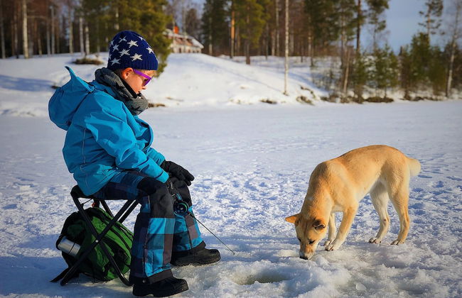 Vildmarks Lodge - Foto 41